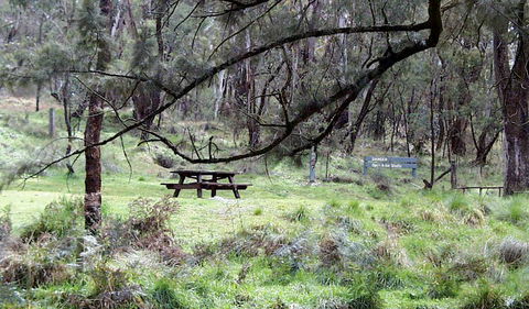 Fourth Crossing Picnic Area - Attractions Sydney 0