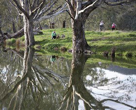 Wagirra Trail And Yindyamarra Sculpture Walk - Attractions Sydney 1