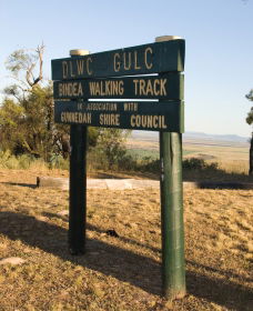 Rangari NSW Attractions Sydney
