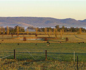 Holbrook NSW Attractions Sydney