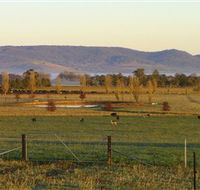 Holbrook Landcare Self-Drive Eco Tour - Attractions Sydney