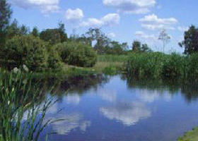 Yan Yean Reservoir Park - Attractions Sydney 0
