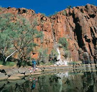 Python Pool - Attractions Sydney