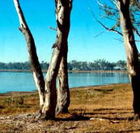 Lake Broadwater Conservation Park - Attractions Sydney