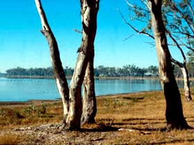 Lake Broadwater Conservation Park - Attractions Sydney 0