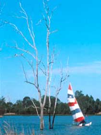 Lake Broadwater Conservation Park - Attractions Sydney 2