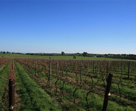 Beechworth Wine Estates - Attractions Sydney 0