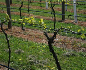 Beechworth Wine Estates - Attractions Sydney 2