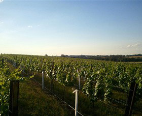 Beechworth Wine Estates - Attractions Sydney 5