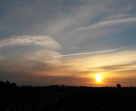 Beechworth Wine Estates - Attractions Sydney 4