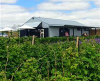 Ravens Creek Farm