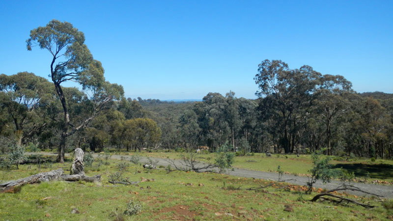 Hill End NSW Attractions Sydney