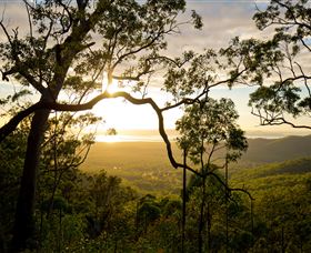 Mount Larcom Climb - Attractions Sydney 2