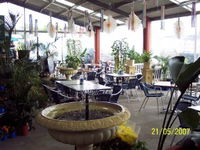 Warwicks Gardens Galore