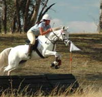 National Equestrian Centre - Kerrabee - Attractions Sydney