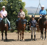 Forest Park Riding and Equitation School - Attractions Sydney