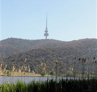 Black Mountain Peninsula - Attractions Sydney