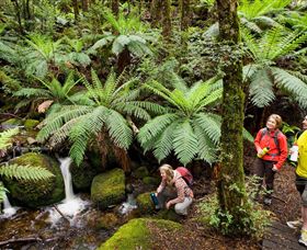  Attractions Sydney