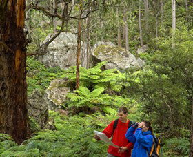 Centennial Glen - Attractions Sydney 0