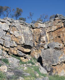 Watheroo ACT Attractions Sydney