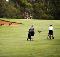 Federal Golf Club - Attractions Sydney