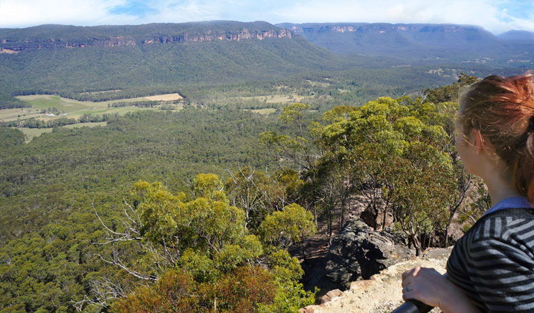 Blue Mountains NSW Attractions Sydney