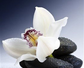 H2O Spa - Attractions Sydney 1