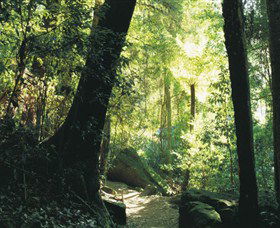 Blue Mountains National Park - Attractions Sydney 5