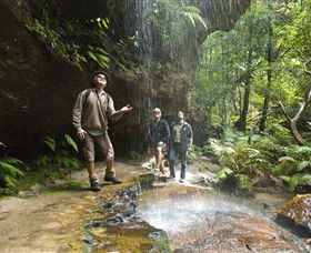Blue Mountains National Park - Attractions Sydney 3