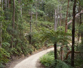 Blue Mountains National Park - Attractions Sydney 8