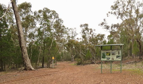 Little Llangothlin Picnic Area - Attractions Sydney 2