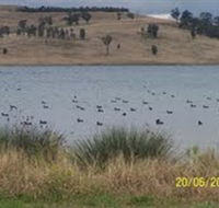 Lake Liddell Recreation Area - Attractions Sydney