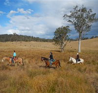 Chapman Valley Horse Riding - Attractions Sydney