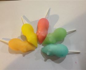 Taylors Sweets And Treats - Attractions Sydney 6