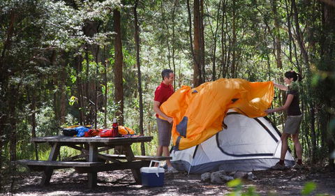 Bald Rock National Park - Attractions Sydney 1
