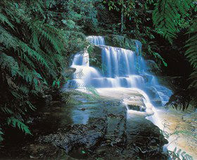 Leura Cascades - Attractions Sydney 0