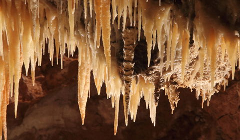 Wollondilly Cave - Attractions Sydney 1