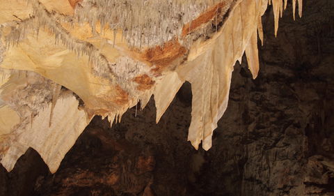 Wollondilly Cave - Attractions Sydney 3