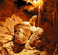 Fig Tree Cave - Attractions Sydney
