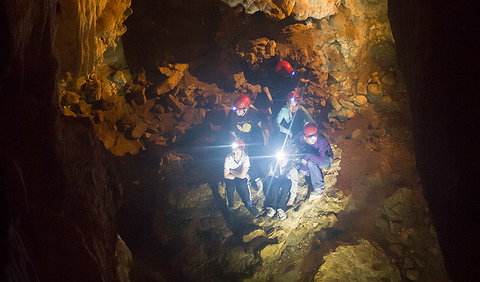 Dennings Labyrinth - Attractions Sydney 1