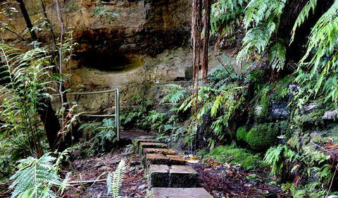 Gordon Falls Lookout And Picnic Area - Attractions Sydney 2