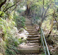 Nature track - Attractions Sydney