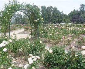 Victoria Park Rose Garden - Attractions Sydney 0