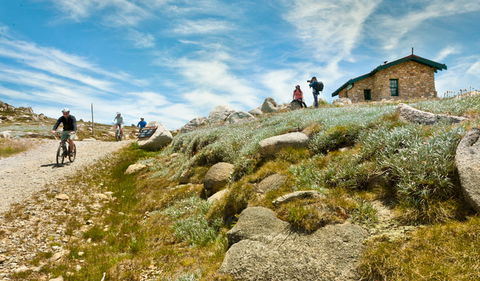 Mount Kosciuszko Summit Walk - Attractions Sydney 0
