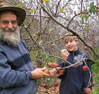 Pine Crest Orchard - Attractions Sydney