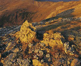 Kosciuszko National Park - Charlottes Pass To Snowy River - Attractions Sydney 1