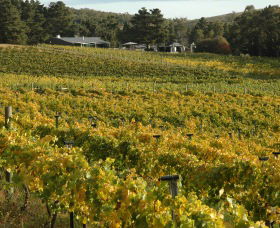 Lark Hill Biodynamic Winery - Attractions Sydney 2