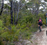 McMahon's Point ride - Wentworth Falls - Attractions Sydney