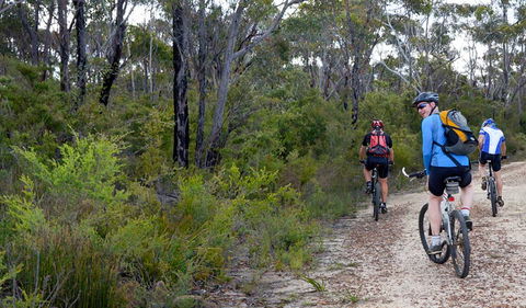 McMahon's Point Ride - Wentworth Falls - Attractions Sydney 0