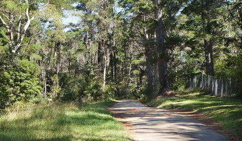 McMahon's Point Ride - Wentworth Falls - Attractions Sydney 2